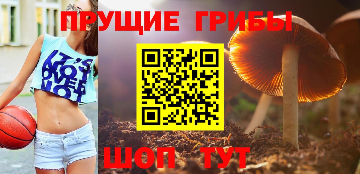 Псилоцибиновые грибы мицелий Арзамас