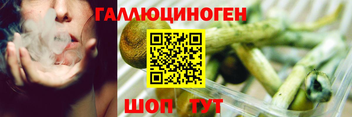 Арзамас  Галлюциногенные грибы Psilocybe  Вход с VPN 